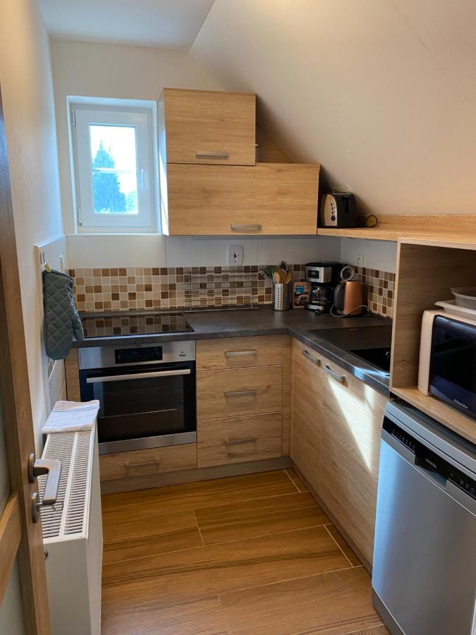 Apartman 430 Дестне в Орлицки хора Екстериор снимка
